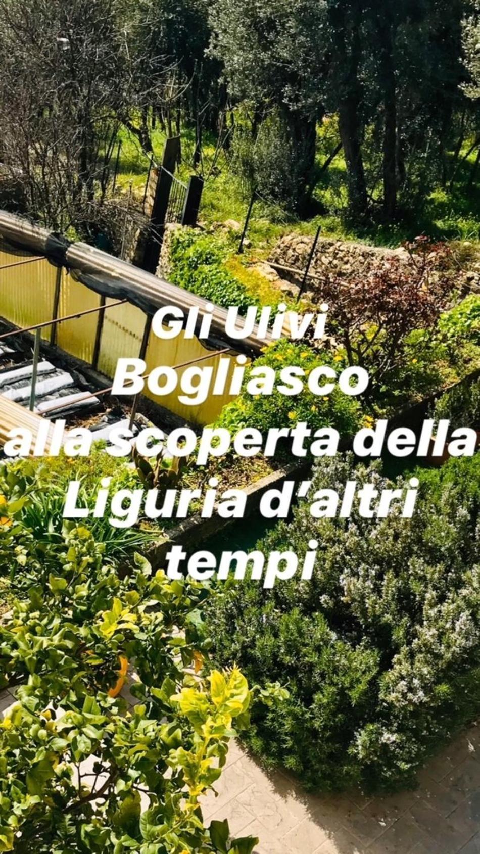 Cav Gli Ulivi Di Bogliasco Vila Exterior foto