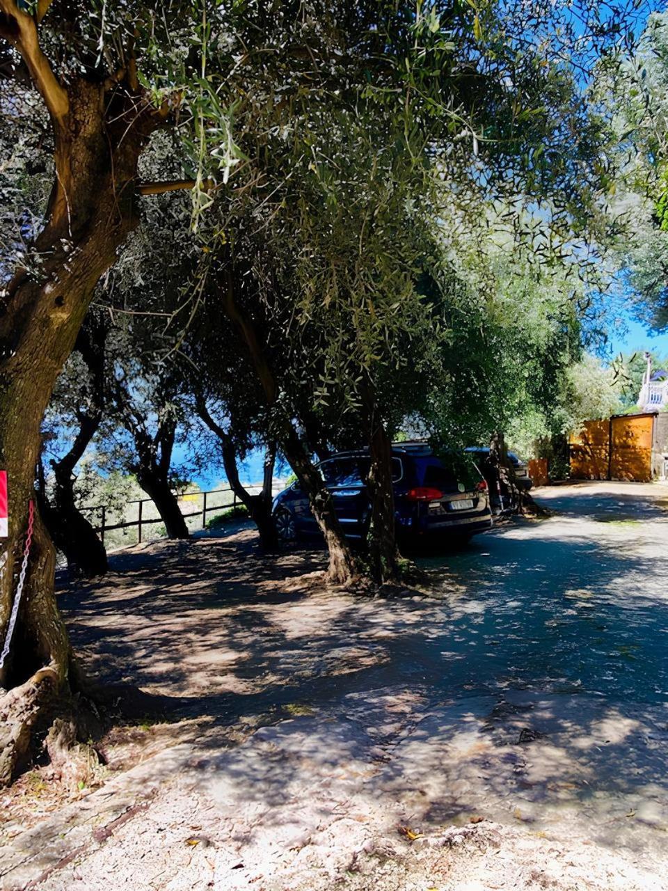 Cav Gli Ulivi Di Bogliasco Vila Exterior foto